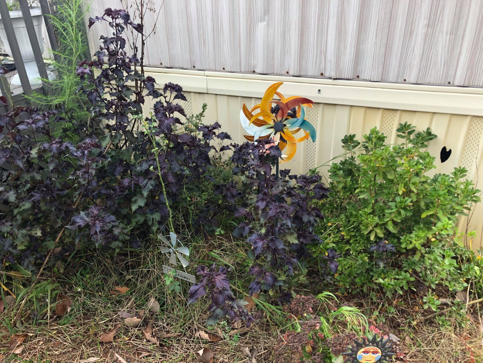 JV yard decoration